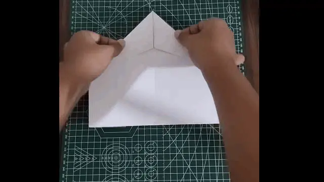 Body Formation